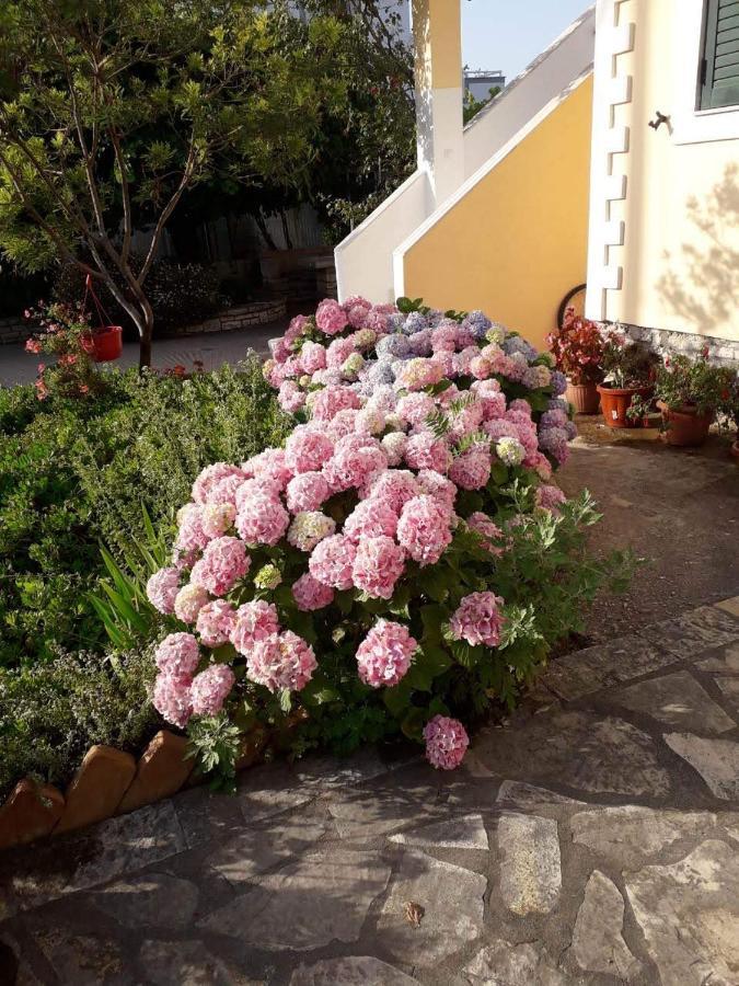 Villa Violeta Ksamil Exterior foto